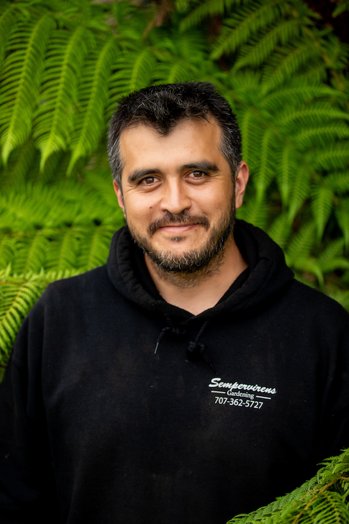 Carlos - CEO/Owner at Sempervirens Gardening
