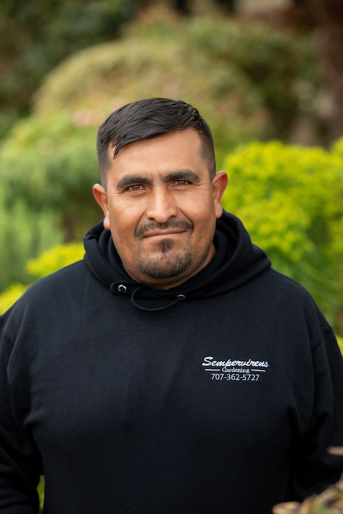 Uriel - Garden/Landscape Assistant at Sempervirens Gardening